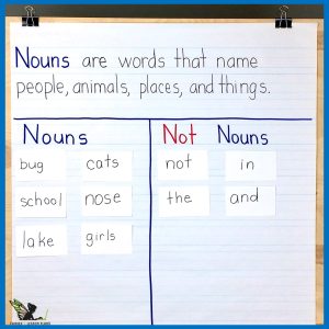 Anchor Chart for Teaching Nouns in 1st Grade