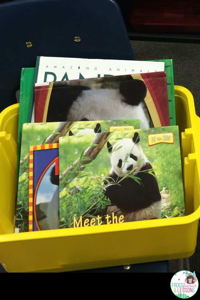Animal Book Reports and Nonfiction Text Features