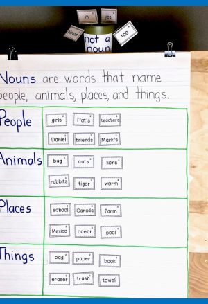 Anchor Chart for teaching nouns in 1st grade and sorting nouns into people, places, animals, and things.